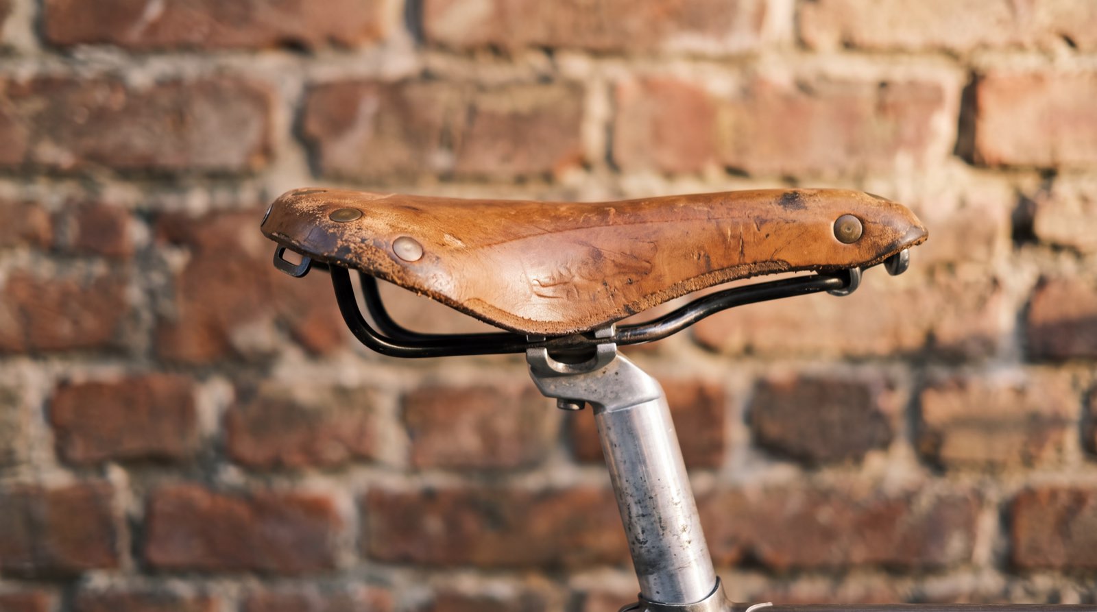 Herren-E-Bikes im Test